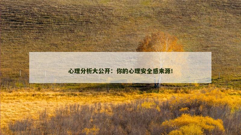 心理分析大公开：你的心理安全感来源！