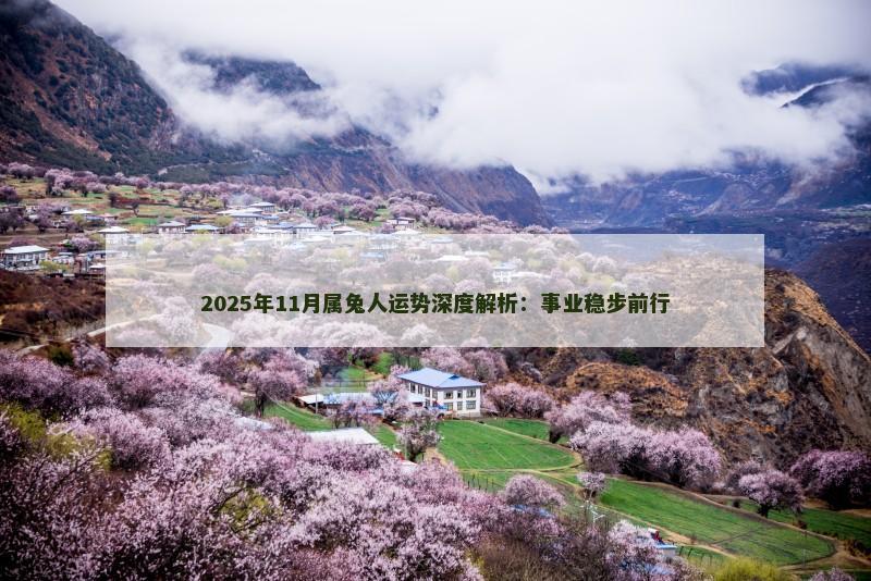 2025年11月属兔人运势深度解析：事业稳步前行