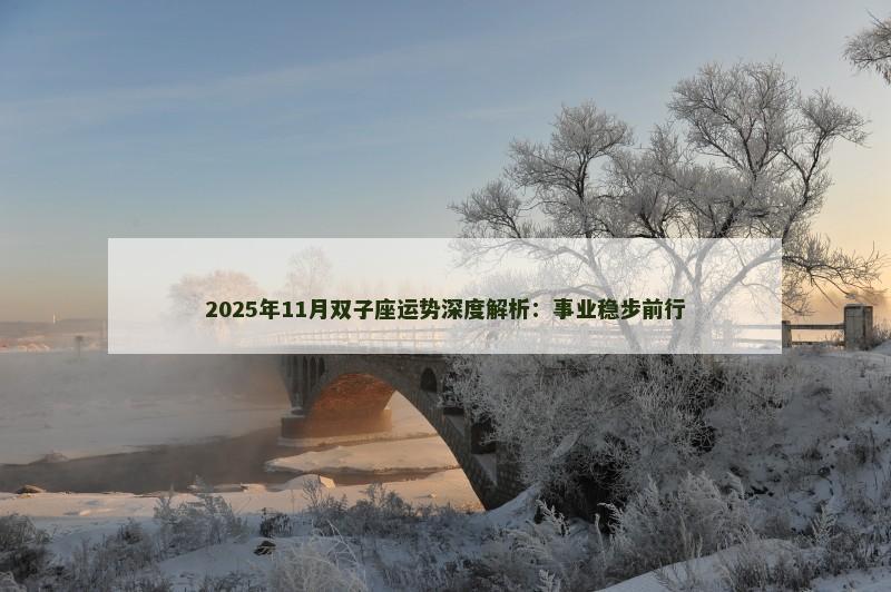 2025年11月双子座运势深度解析：事业稳步前行