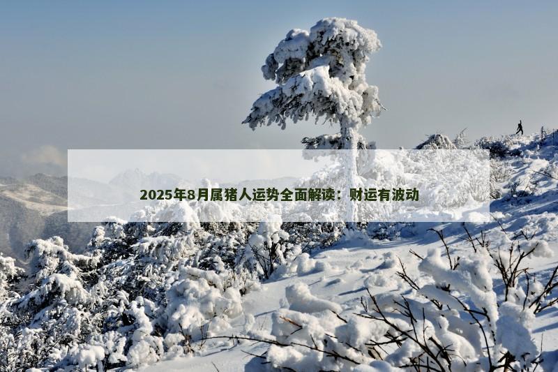 2025年8月属猪人运势全面解读：财运有波动