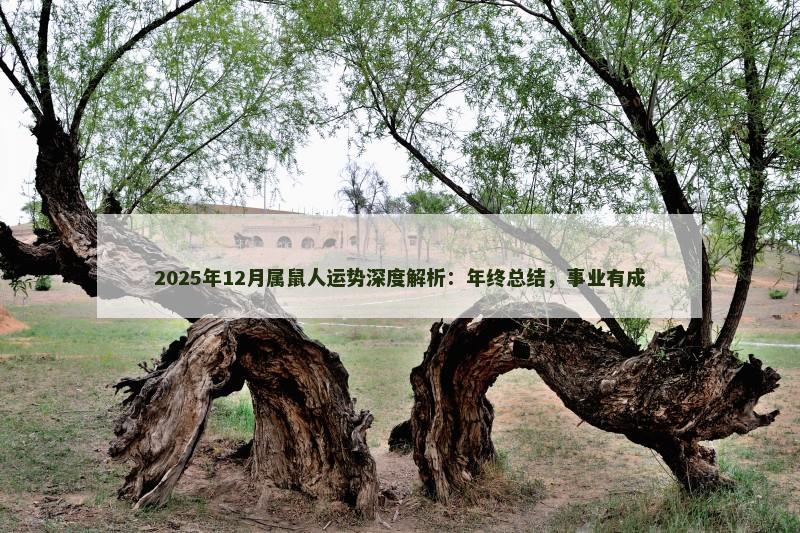 2025年12月属鼠人运势深度解析：年终总结，事业有成