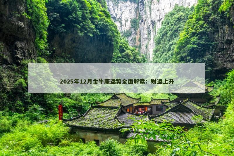 2025年12月金牛座运势全面解读：财运上升