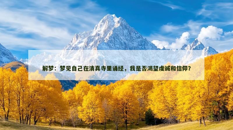 解梦：梦见自己在清真寺里诵经，我是否渴望虔诚和信仰？