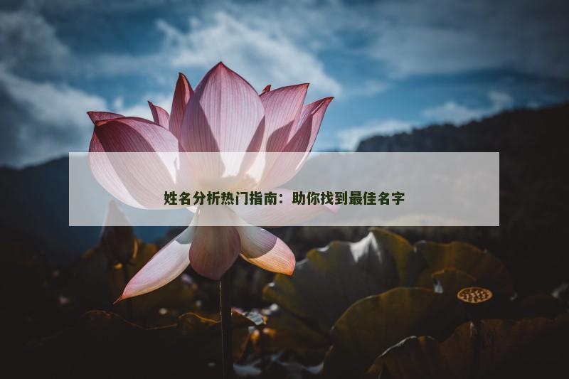 姓名分析热门指南：助你找到最佳名字