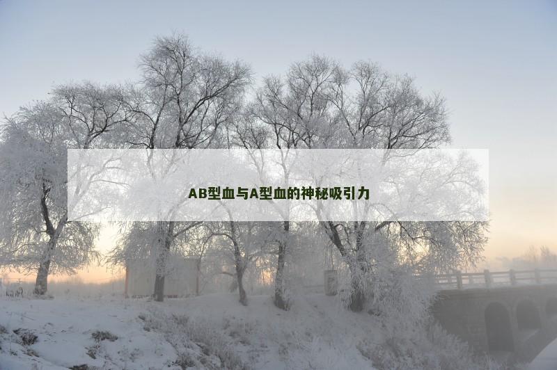 AB型血与A型血的神秘吸引力