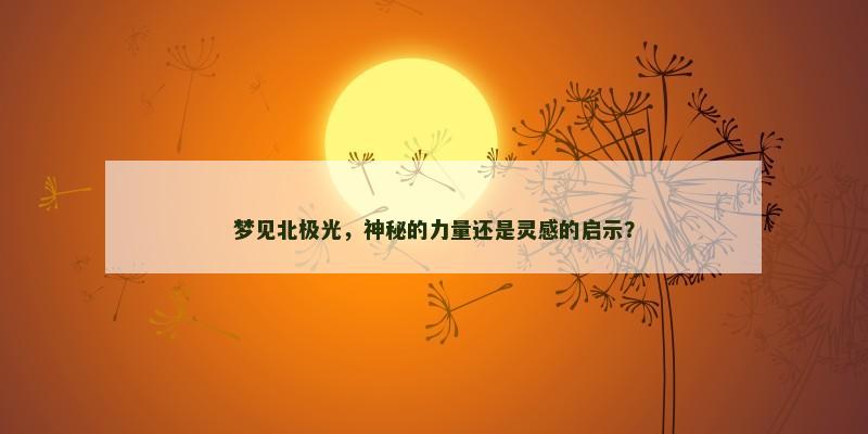 梦见北极光，神秘的力量还是灵感的启示？