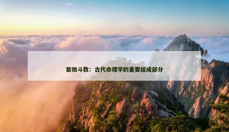 紫微斗数：古代命理学的重要组成部分