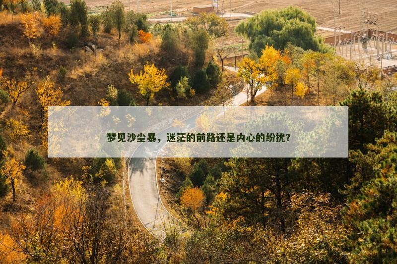 梦见沙尘暴，迷茫的前路还是内心的纷扰？