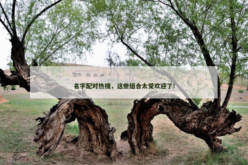 名字配对热搜，这些组合太受欢迎了！