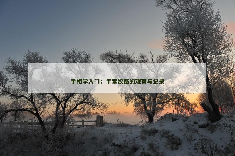 手相学入门：手掌纹路的观察与记录