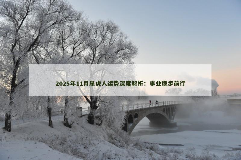 2025年11月属虎人运势深度解析：事业稳步前行