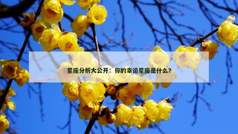 星座分析大公开：你的幸运星座是什么？