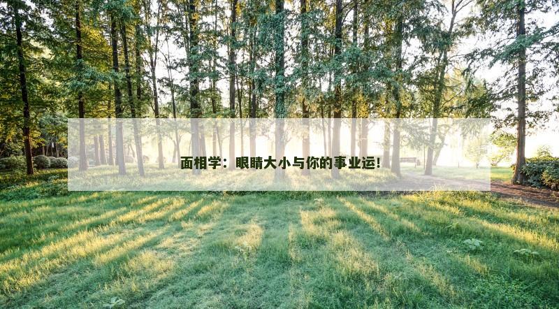 面相学：眼睛大小与你的事业运！