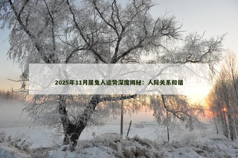 2025年11月属兔人运势深度揭秘：人际关系和谐