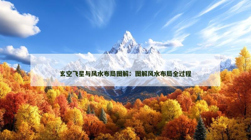 玄空飞星与风水布局图解：图解风水布局全过程