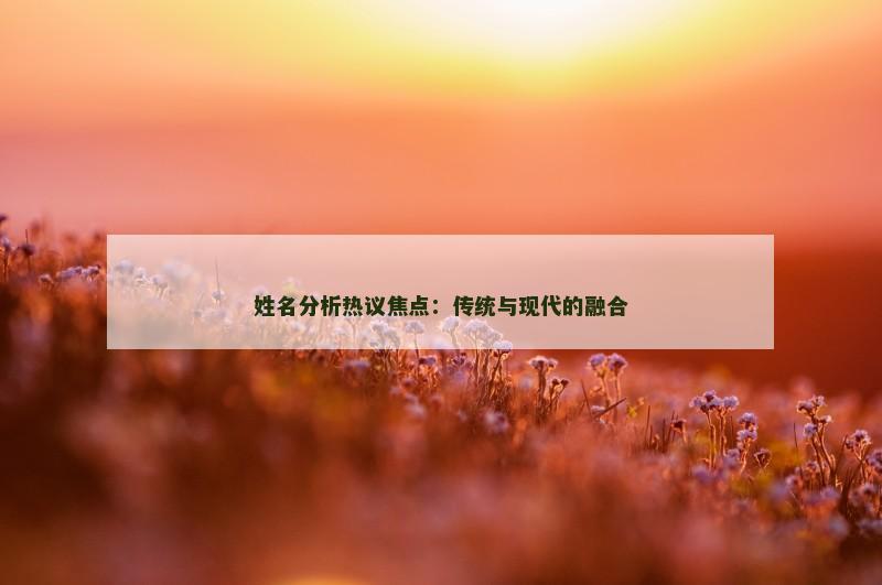 姓名分析热议焦点：传统与现代的融合