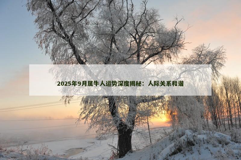 2025年9月属牛人运势深度揭秘：人际关系和谐