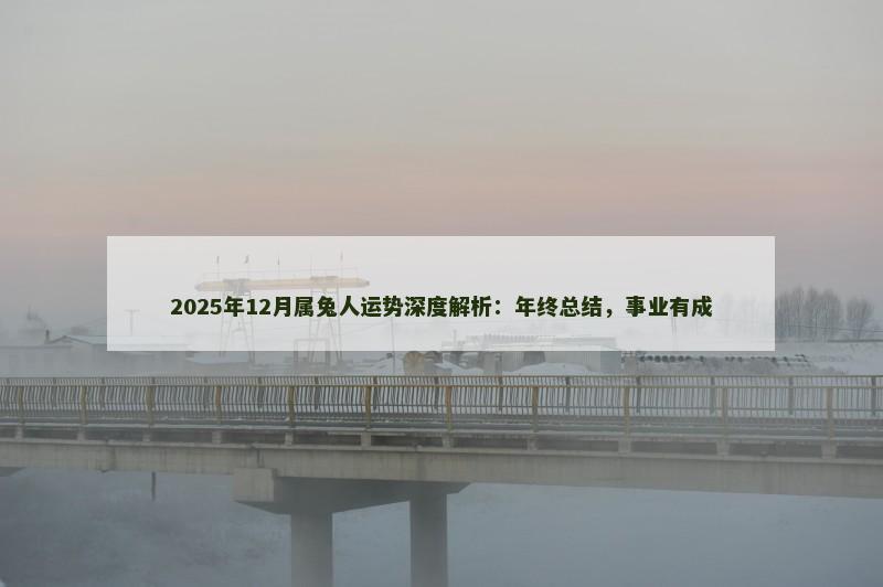 2025年12月属兔人运势深度解析：年终总结，事业有成