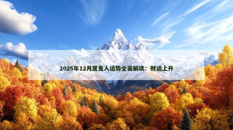 2025年12月属兔人运势全面解读：财运上升