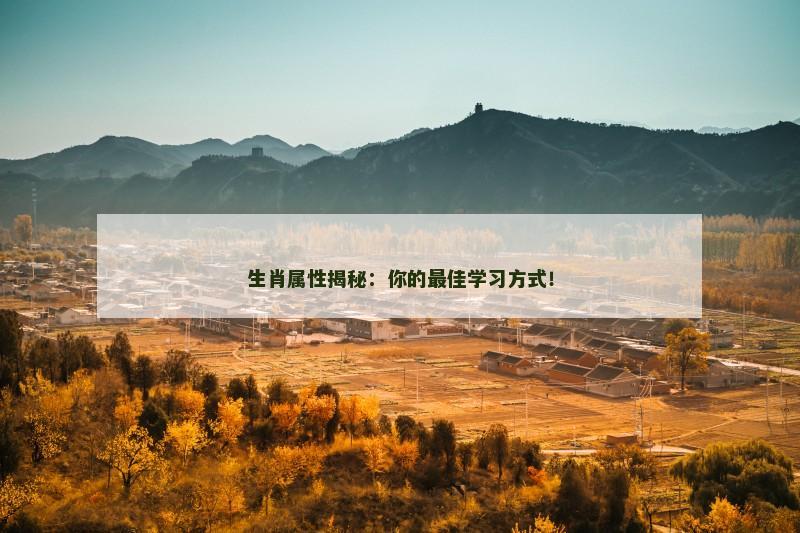 生肖属性揭秘：你的最佳学习方式！