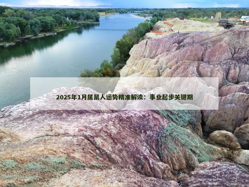 2025年1月属鼠人运势精准解读：事业起步关键期