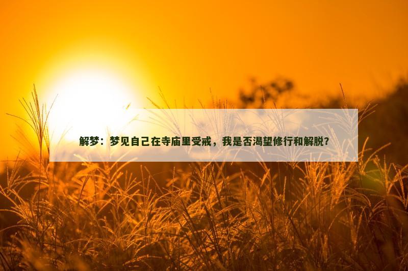 解梦：梦见自己在寺庙里受戒，我是否渴望修行和解脱？