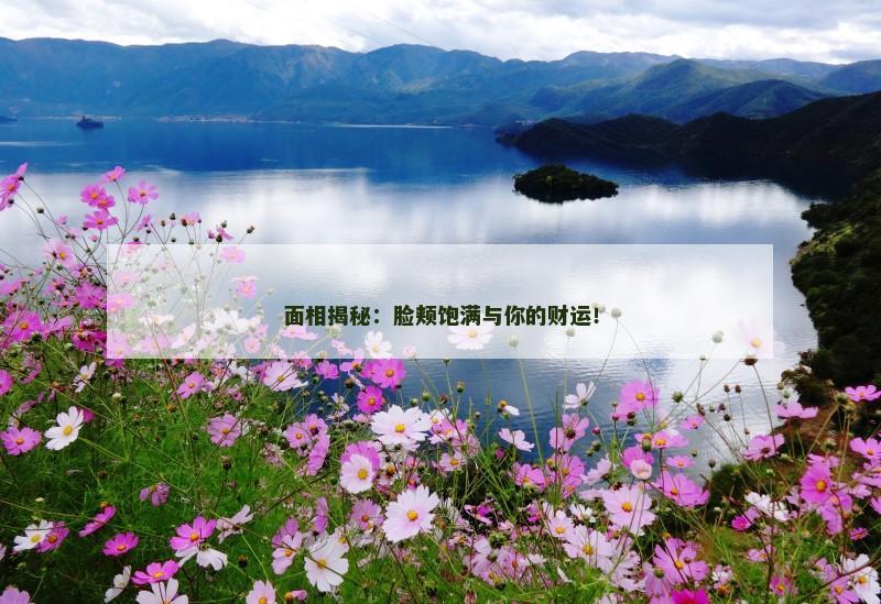 面相揭秘：脸颊饱满与你的财运！