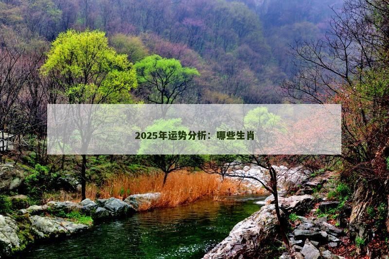 2025年运势分析：哪些生肖