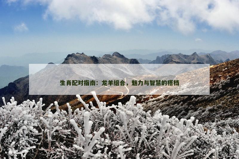 生肖配对指南：龙羊组合，魅力与智慧的搭档