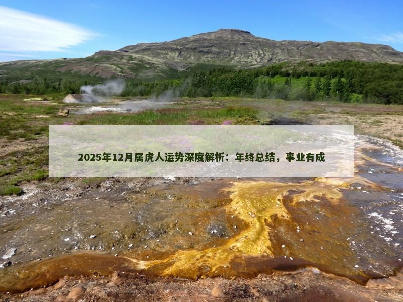 2025年12月属虎人运势深度解析：年终总结，事业有成