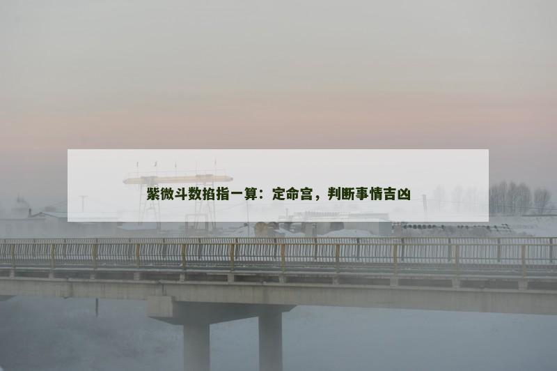 紫微斗数掐指一算：定命宫，判断事情吉凶