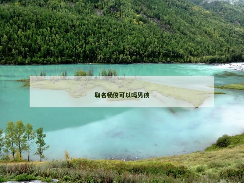 取名杨俊可以吗男孩