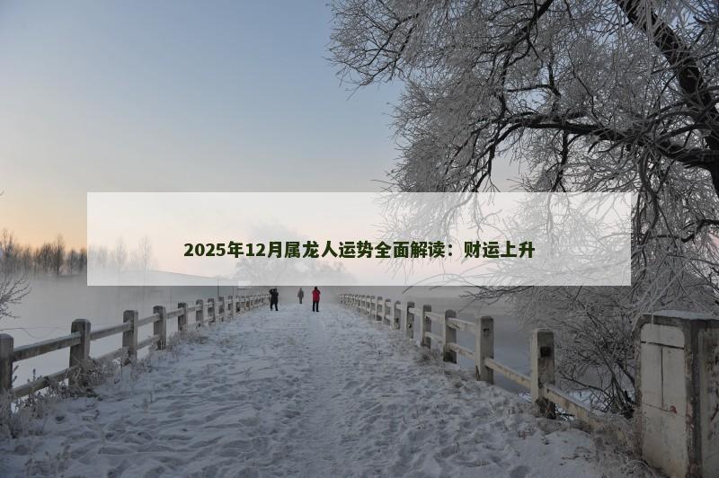 2025年12月属龙人运势全面解读：财运上升