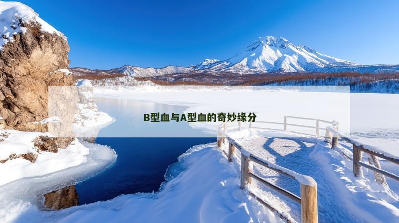 B型血与A型血的奇妙缘分