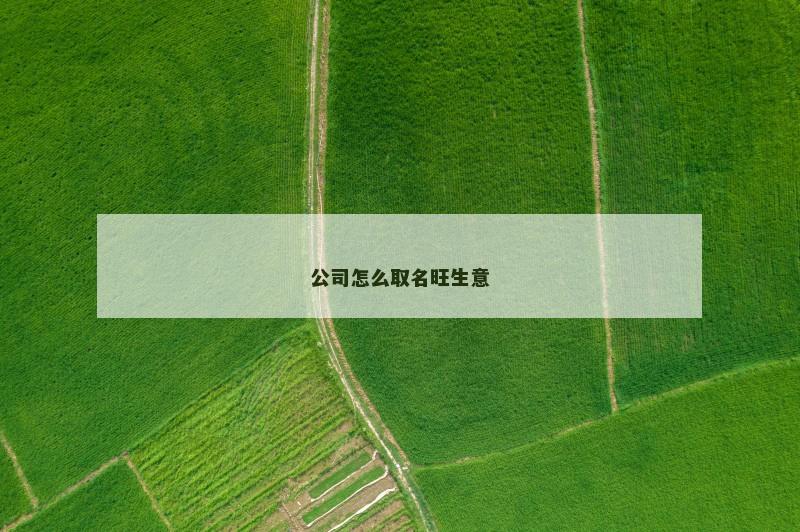 公司怎么取名旺生意