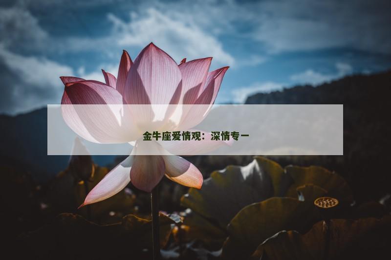金牛座爱情观：深情专一