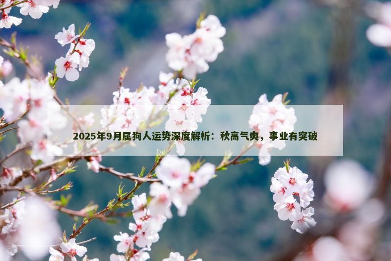 2025年9月属狗人运势深度解析：秋高气爽，事业有突破