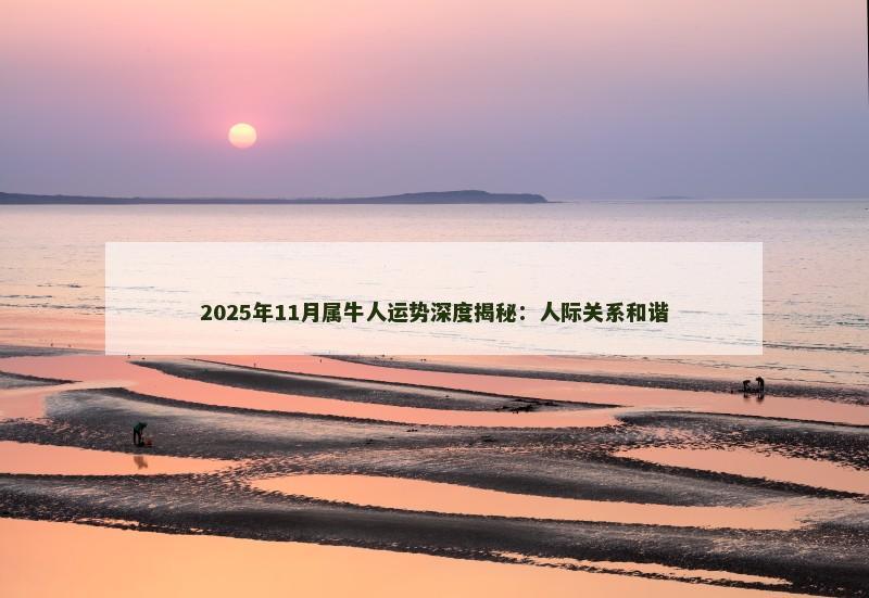2025年11月属牛人运势深度揭秘：人际关系和谐