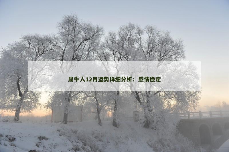 属牛人12月运势详细分析：感情稳定