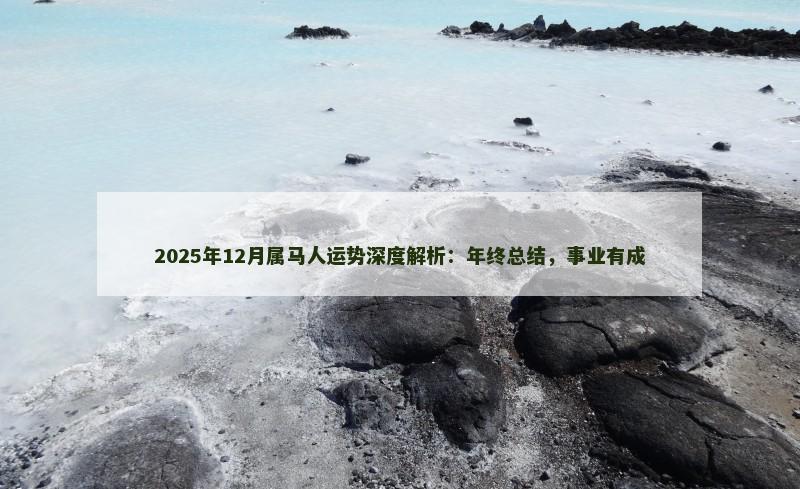 2025年12月属马人运势深度解析：年终总结，事业有成