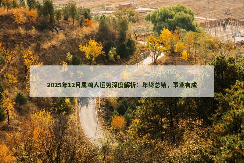 2025年12月属鸡人运势深度解析：年终总结，事业有成