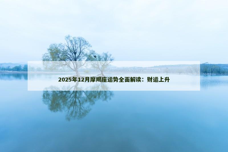 2025年12月摩羯座运势全面解读：财运上升
