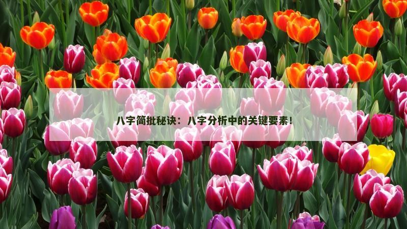 八字简批秘诀：八字分析中的关键要素！