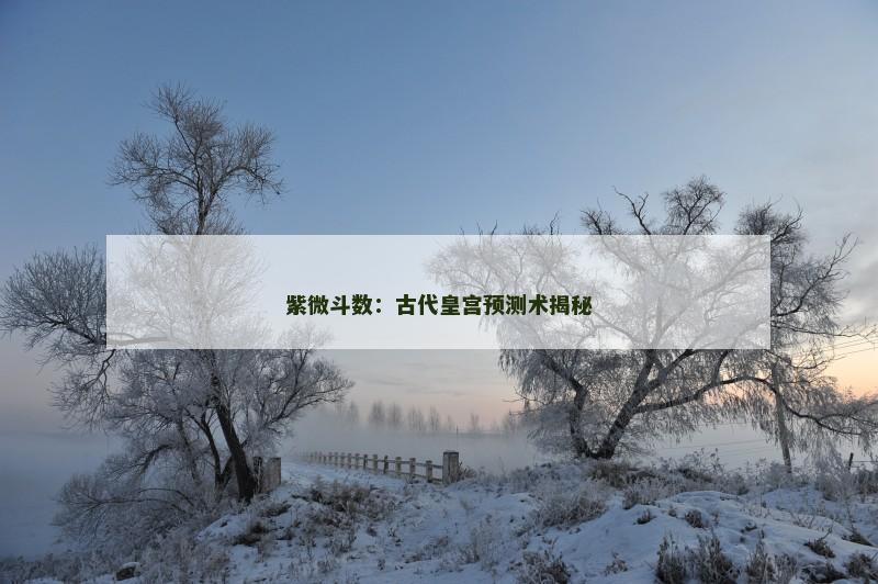 紫微斗数：古代皇宫预测术揭秘