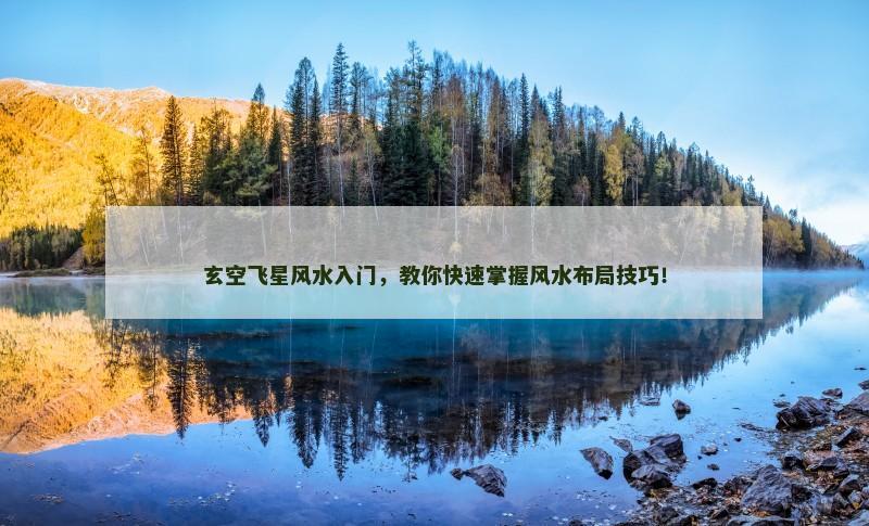 玄空飞星风水入门，教你快速掌握风水布局技巧！
