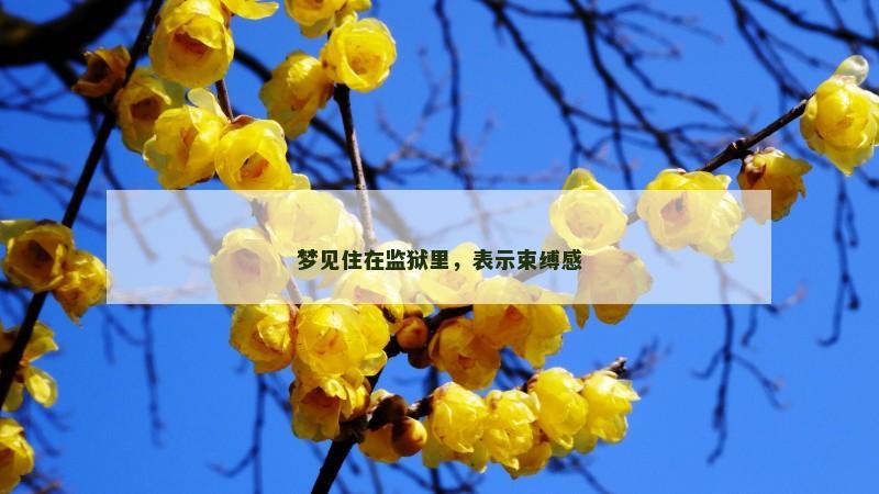 梦见住在监狱里，表示束缚感