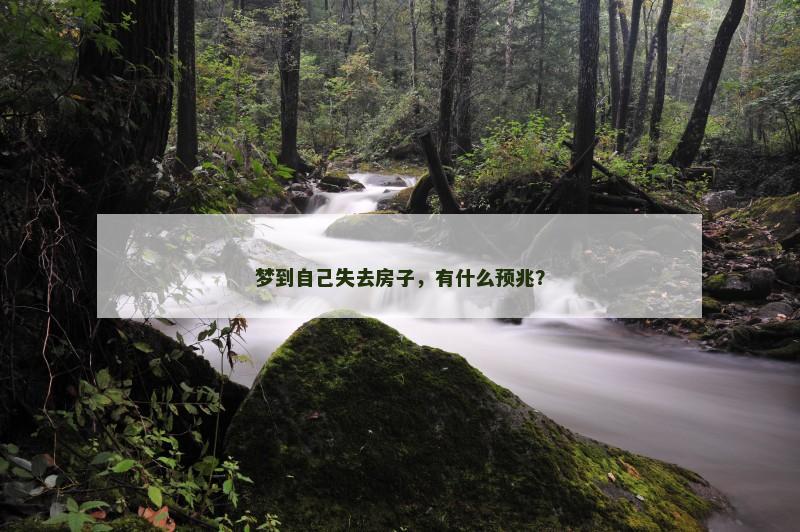 梦到自己失去房子，有什么预兆？