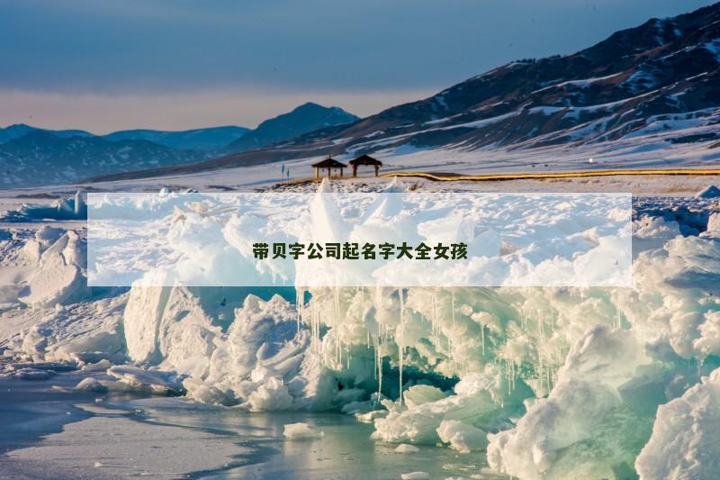 带贝字公司起名字大全女孩