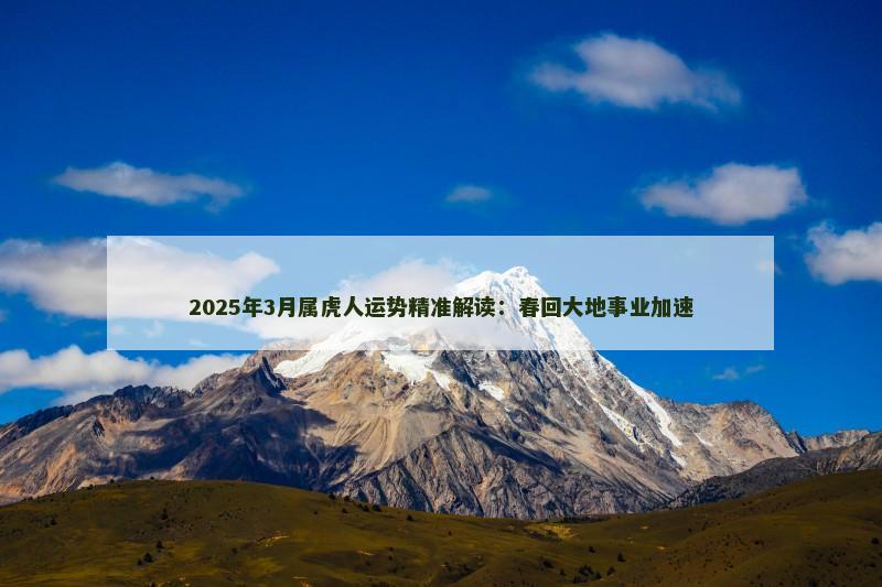 2025年3月属虎人运势精准解读：春回大地事业加速