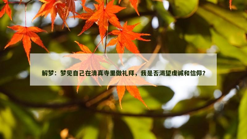 解梦：梦见自己在清真寺里做礼拜，我是否渴望虔诚和信仰？